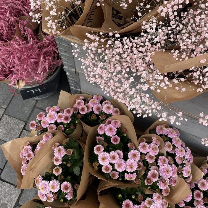 young, dumb, &&nbsp;february-ish